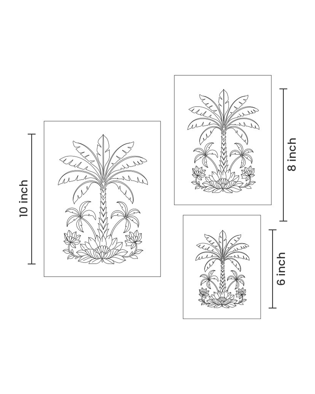Coconut Tree