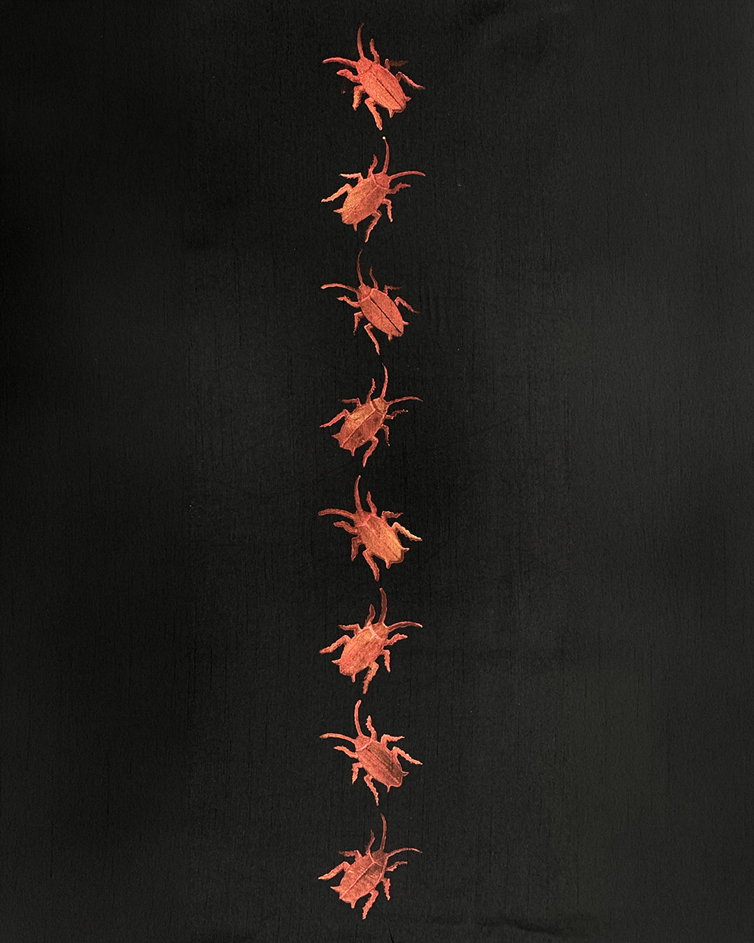 Cockroach Border