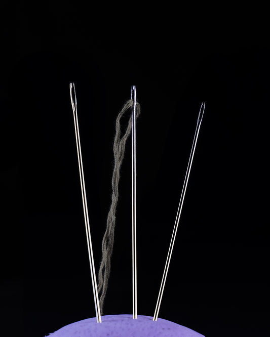 Needle for Stitching (Big)