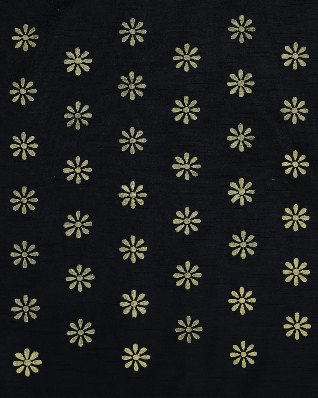 Daisy Butti