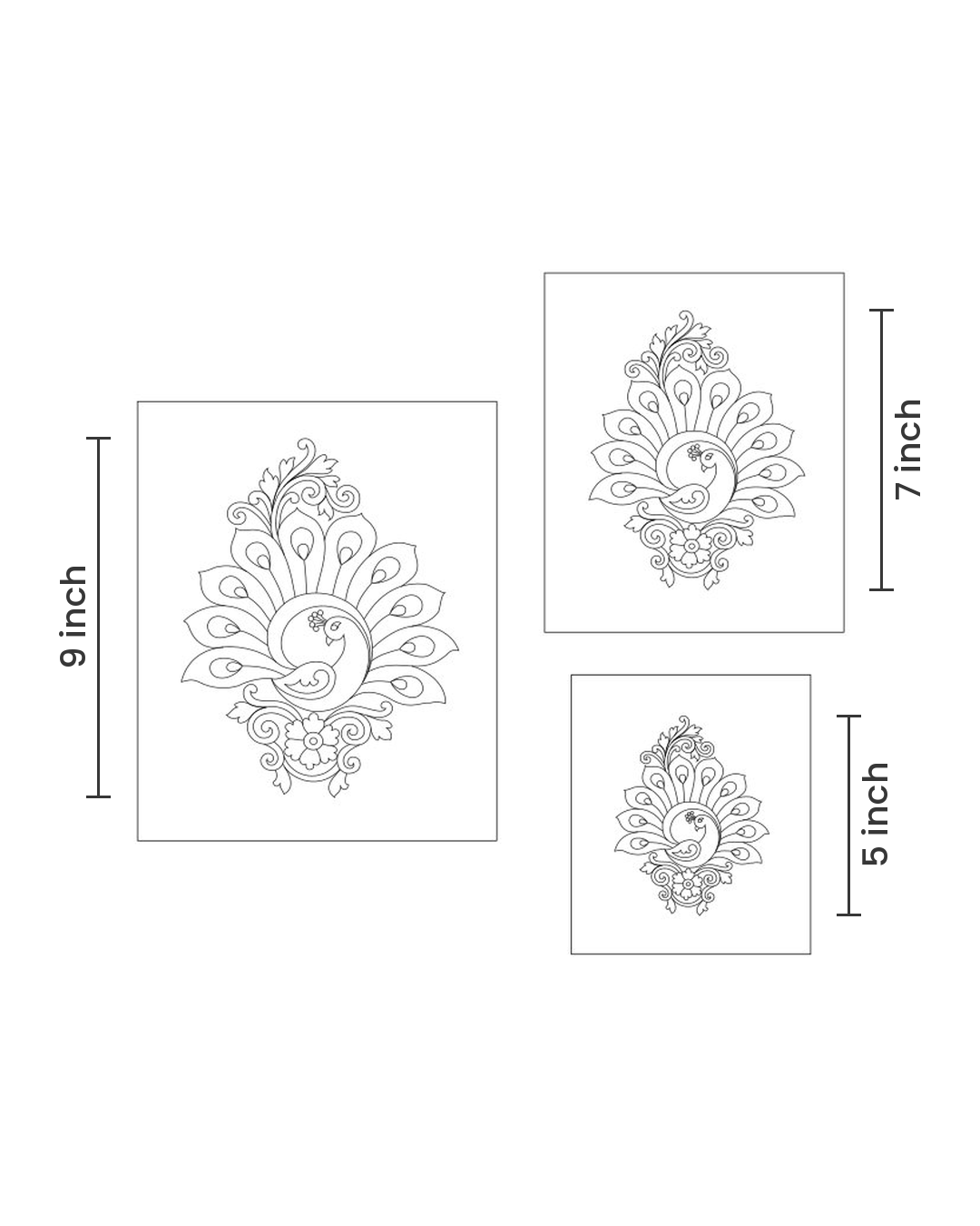 Royal Peacock
